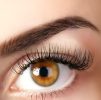 Brow Lift